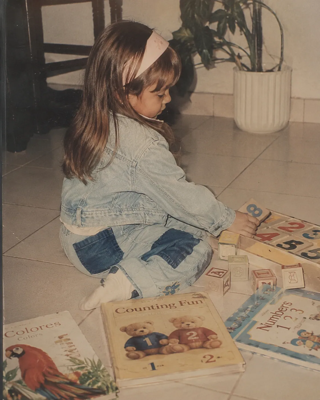 Organização
